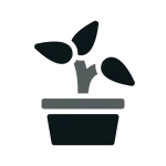 Sprout SVG Icon